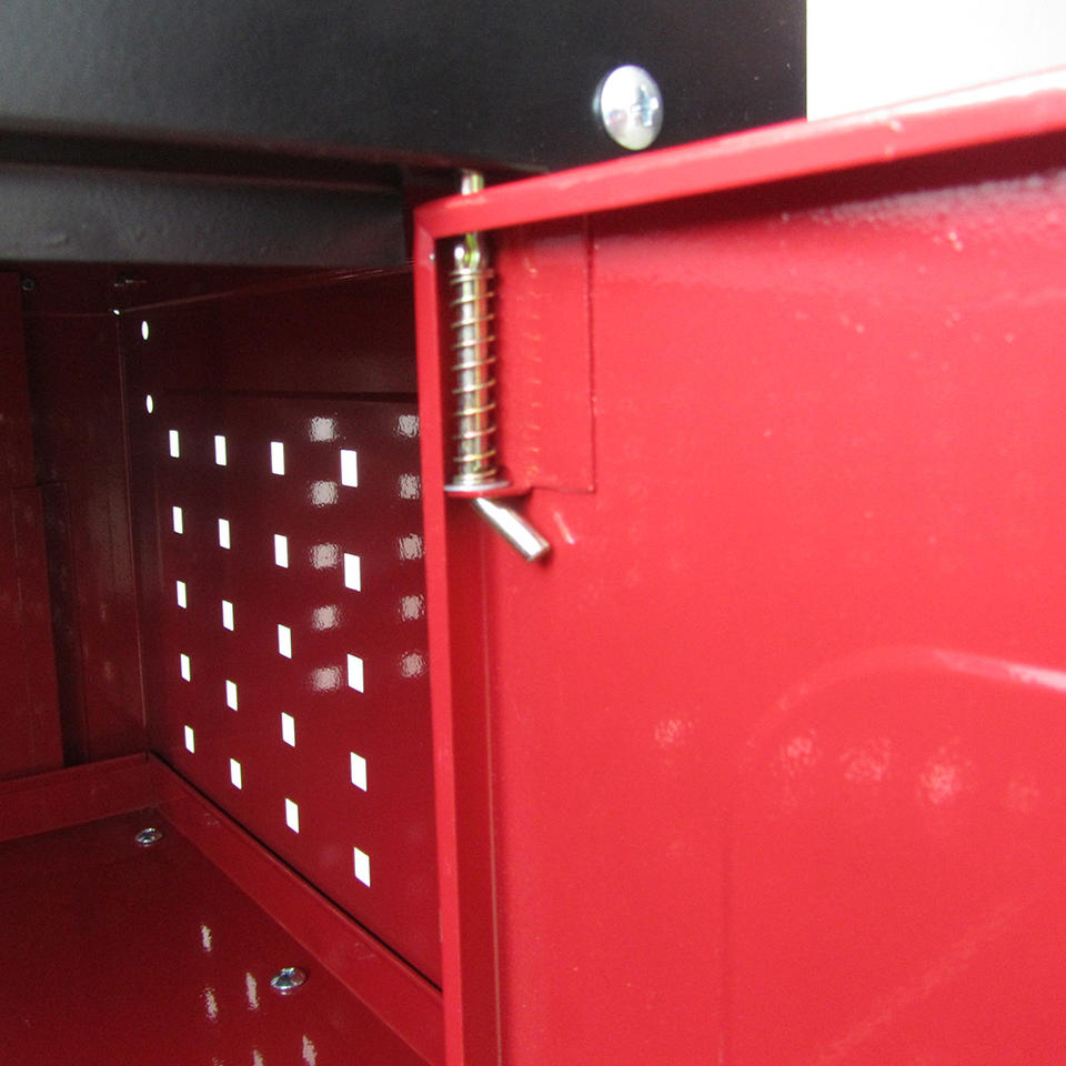 Mobile Double Door Cabinet 4